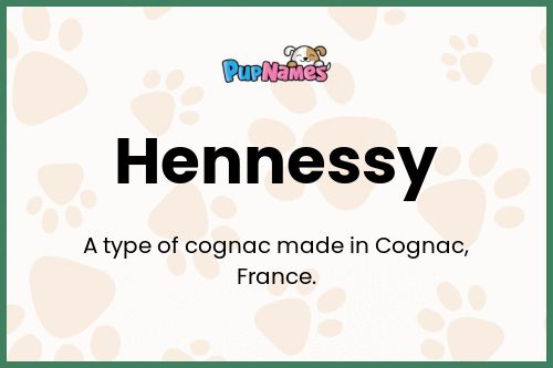 Hennessy dog name meaning