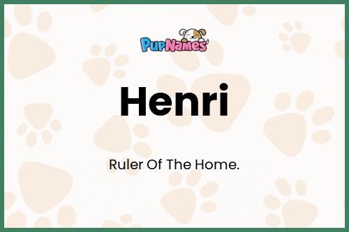 Henri dog name meaning