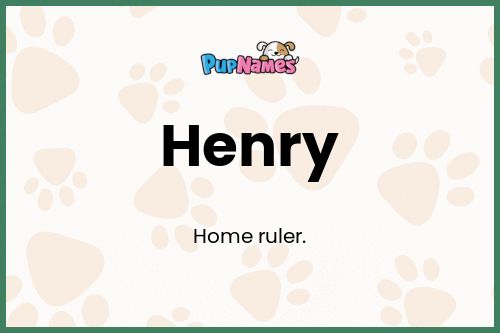 Henry dog name meaning