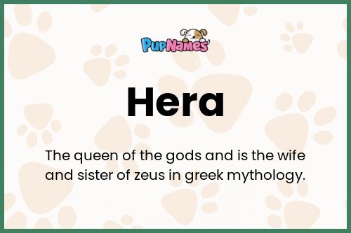 Hera dog name meaning