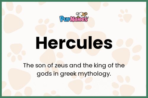 Hercules dog name meaning