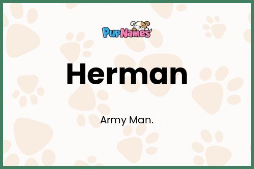 Herman dog name meaning