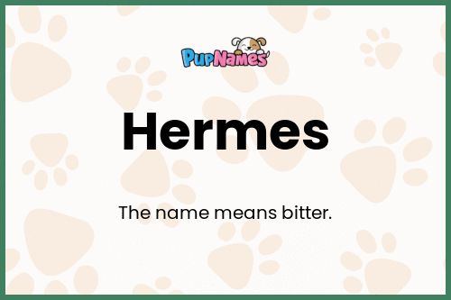 Hermes dog name meaning