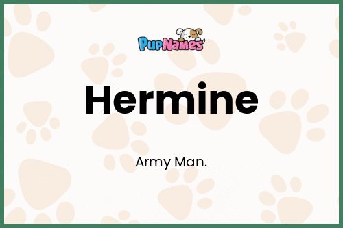 Hermine dog name meaning