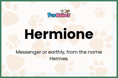 Hermione dog name meaning