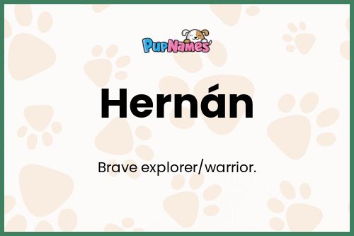 Hernán dog name meaning