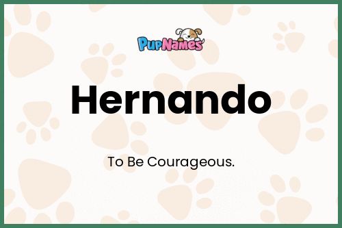 Hernando dog name meaning