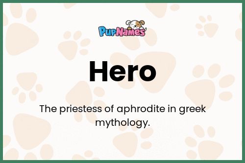 Hero dog name meaning