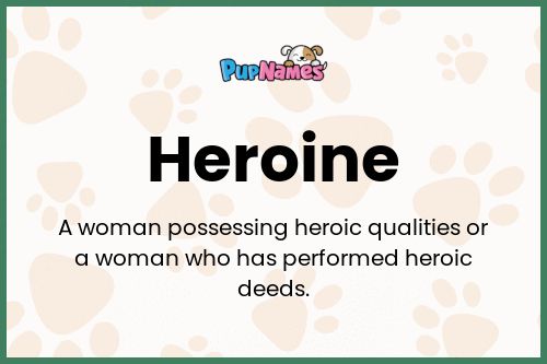 Heroine dog name meaning