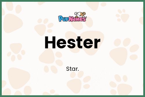 Hester dog name meaning