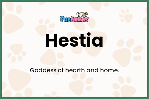 Hestia dog name meaning