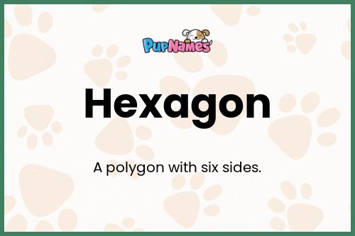 Hexagon dog name meaning