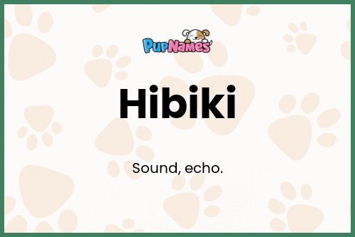 Hibiki dog name meaning