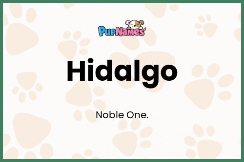 Hidalgo dog name meaning