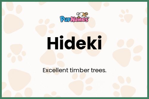 Hideki dog name meaning