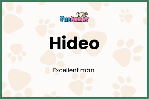 Hideo dog name meaning