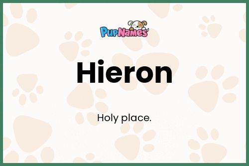 Hieron dog name meaning