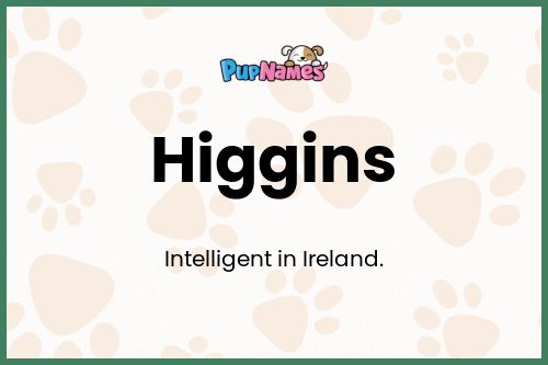 Higgins dog name meaning