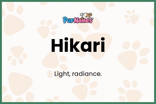 Hikari dog name meaning