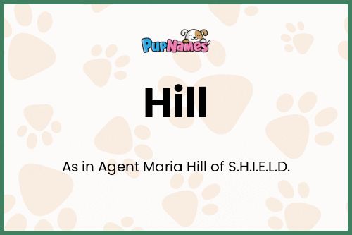 Hill dog name meaning