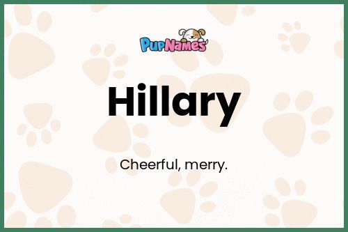 Hillary dog name meaning