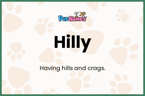 Hilly dog name meaning