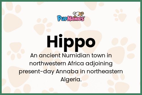 Hippo dog name meaning