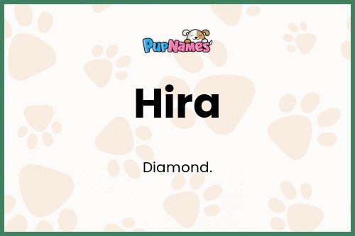 Hira dog name meaning