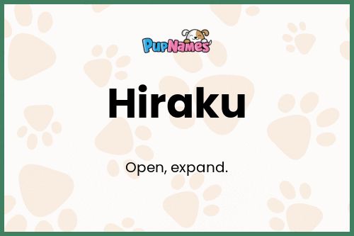 Hiraku dog name meaning