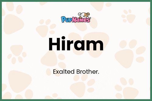 Hiram dog name meaning