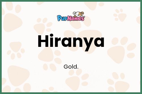 Hiranya dog name meaning