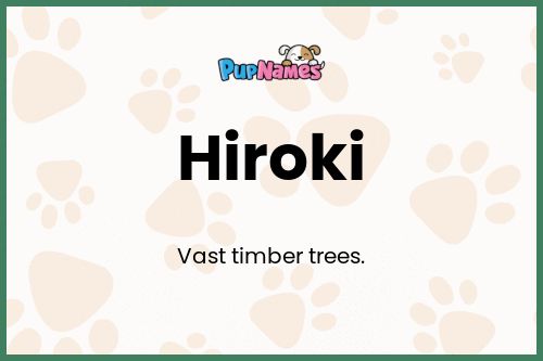 Hiroki dog name meaning