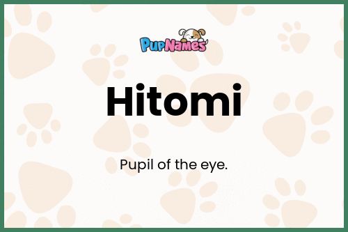 Hitomi dog name meaning