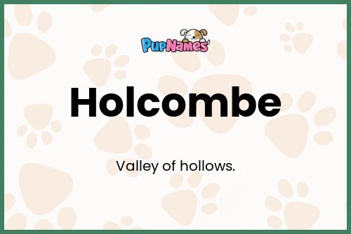 Holcombe dog name meaning