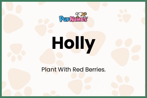 Holly dog name meaning