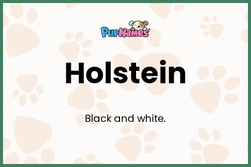 Holstein dog name meaning