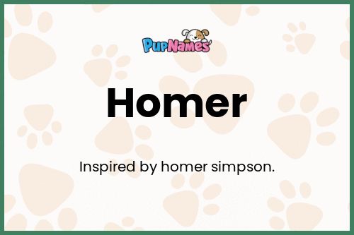 Homer dog name meaning