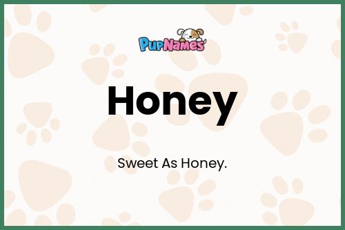 Honey dog name meaning