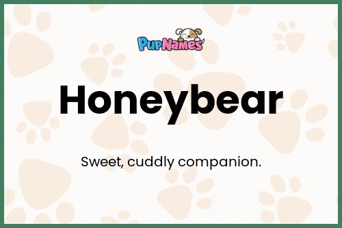 Honeybear dog name meaning