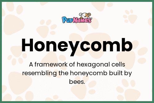 Honeycomb dog name meaning