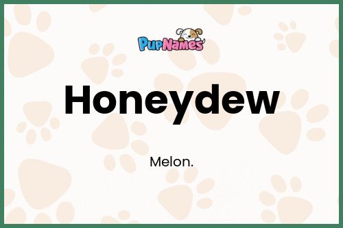 Honeydew dog name meaning