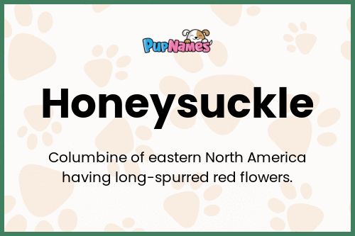 Honeysuckle dog name meaning
