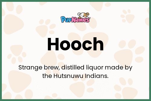 Hooch dog name meaning