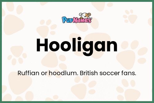 Hooligan dog name meaning