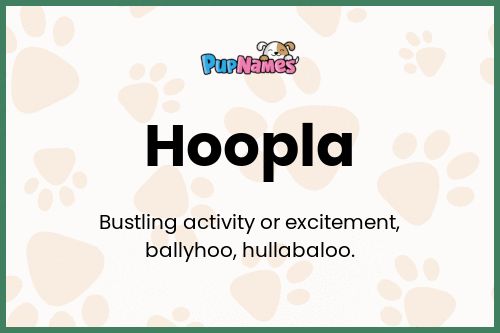 Hoopla dog name meaning