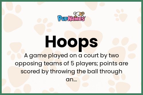 Hoops dog name meaning