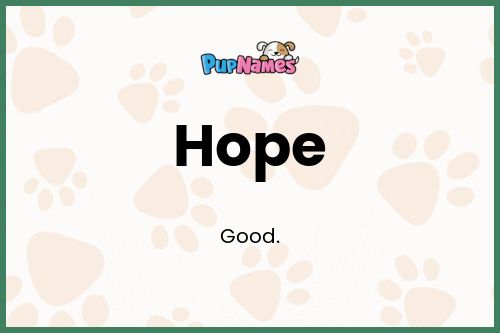 Hope dog name meaning