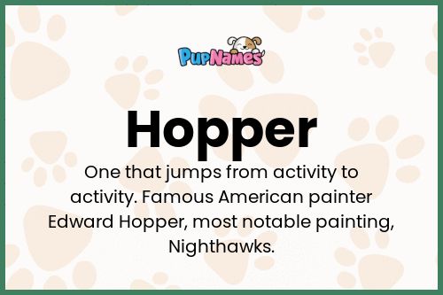 Hopper dog name meaning