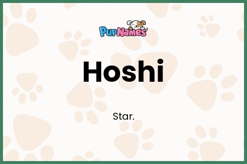 Hoshi dog name meaning