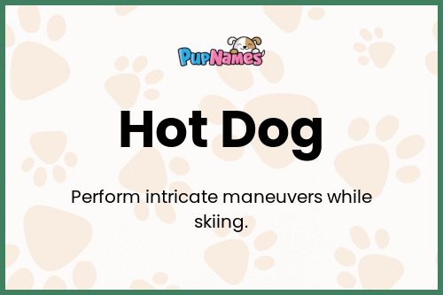 Hot Dog dog name meaning